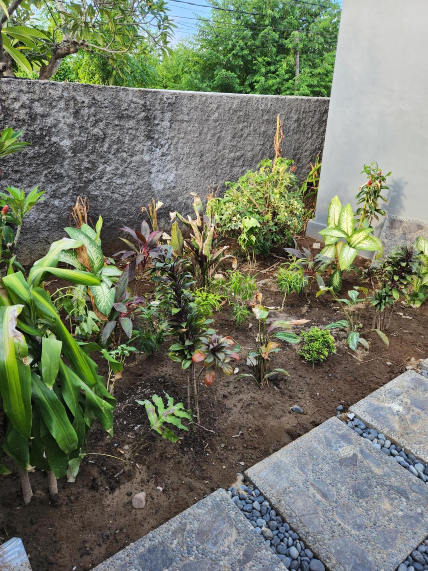 Viila Rumah Kita * Sanur (Bali)